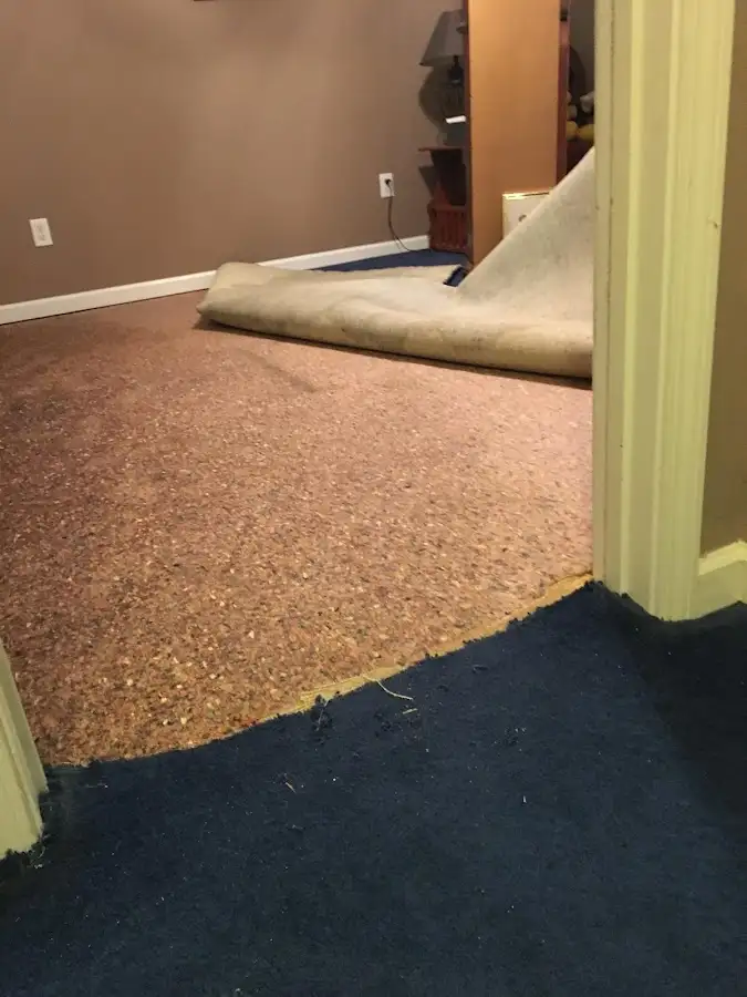 Carpet pad removal revealing water damage during Drying & Dehumidification in Frankfort